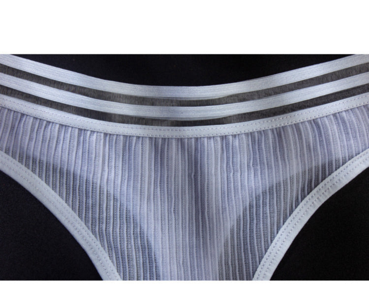 La Belle Fantastique Ava Sexy ice silk see-through G-String, Tanga Panty, Lace Panty Set, Lace Lingerie