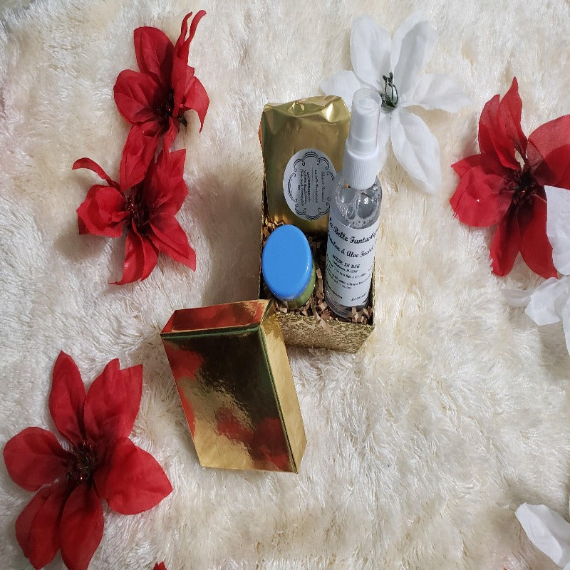 Spa Set for Women, Spa Gift Set for Mom, Gifts Under 30, Natural Bath Gift Basket Women | 1 Lip Mask | 1 Shower Steamer | 1 1oz Primrose Argan Facial Serum - La Belle Fantastique