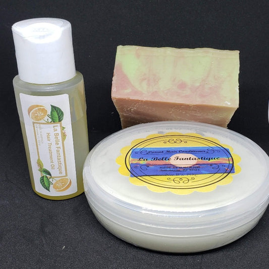 Shampoo and Conditioner Set | Natural Hair Care|Unscented Shampoo, Palm Free Sulfate Free Solid Shampoo - La Belle Fantastique 