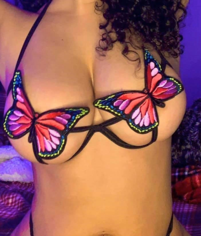 La Belle Fantastique Butterfly Bra Panties Set | Sexy Panties | See Through Panties | Sheer Lingerie
