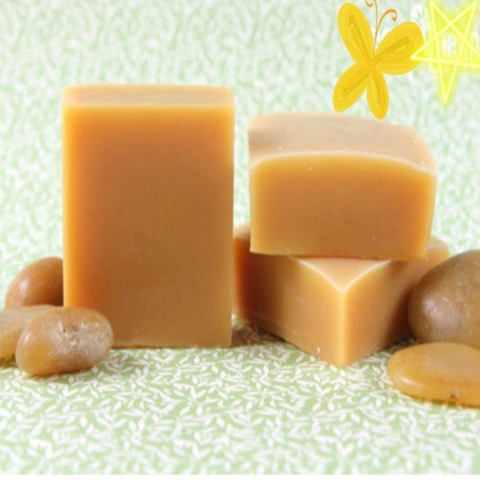 La Belle Fantastique Sudsy Shampoo Bar | Dry Hair - La Belle Fantastique 